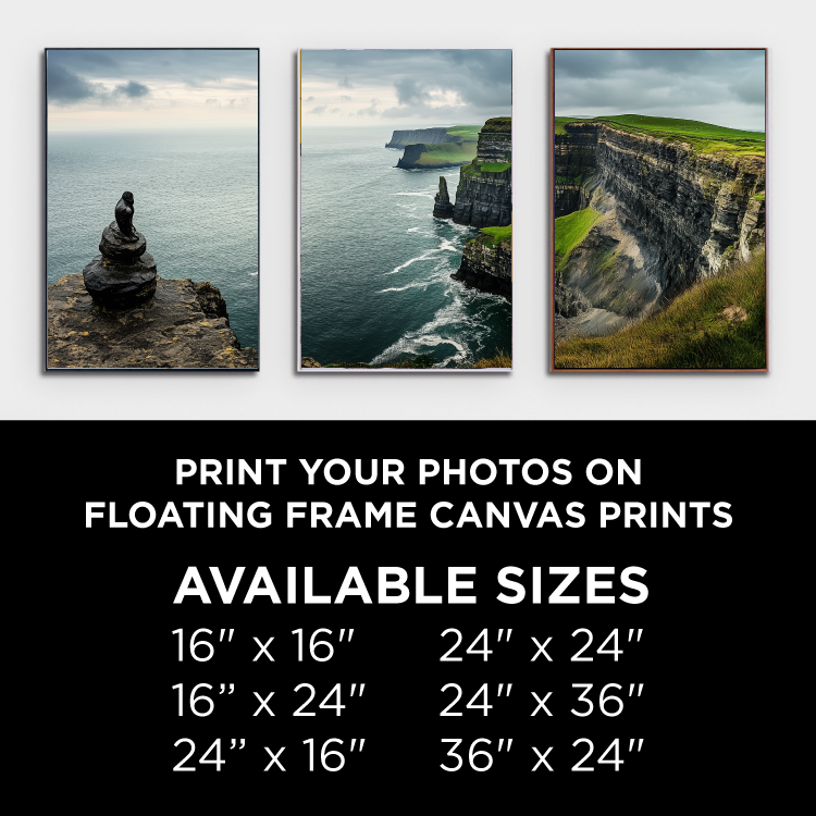 Custom Floating Frame Canvas Prints